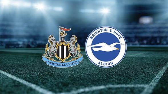 Newcastle 3-1 Brighton: A Painful Reminder That Football Loves Humbling You